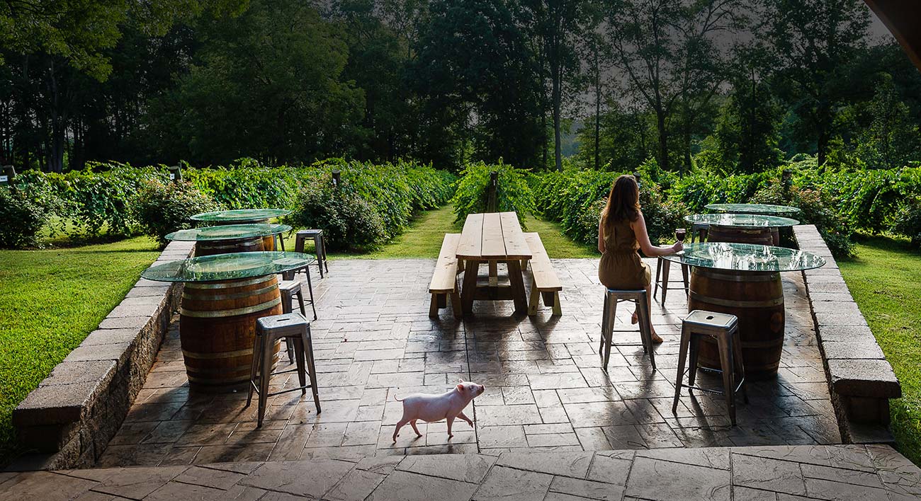 city-scape-winery-born-in-the-city-rooted-in-the-country-we-are